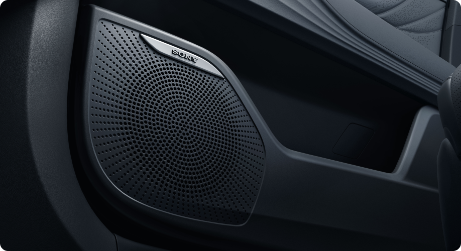 14 Sony Speaker